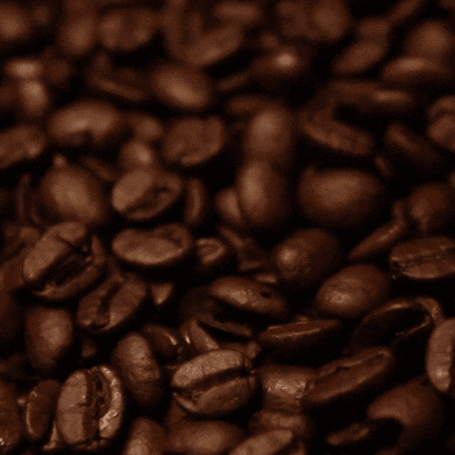Coffee Shop Background